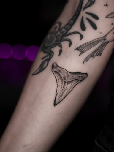 illustrative shark tooth fineline tattoo on forearm, done in Lörrach by vegan tattoo artist Jannine Stefanov