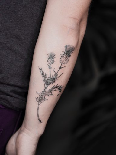 illustrative botanical thitsle tattoo on forearm, done in Lörrach