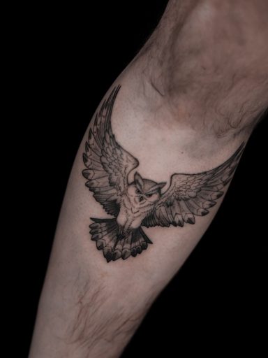 illustrative fineline owl tattoo below a knee, done in Lörrach by vegan tattoo artist Jannine Stefanov