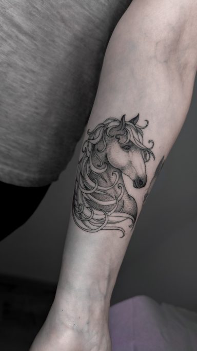 illustrative fineline horse tattoo, done in Lörrach by vegan tattoo artist Jannine Stefanov