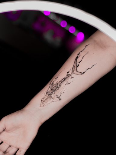 semi-realistic shark tattoo on forearm, done in Lörrach